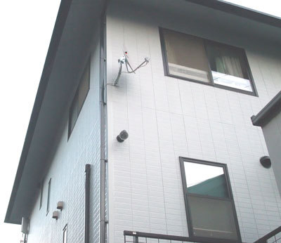 2010.11.001.jpg