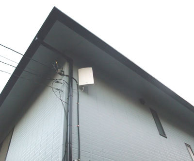 2010.11.002.jpg