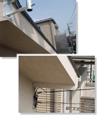 2010.3.16d.jpg
