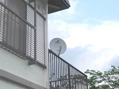 2010.5.1a.jpg