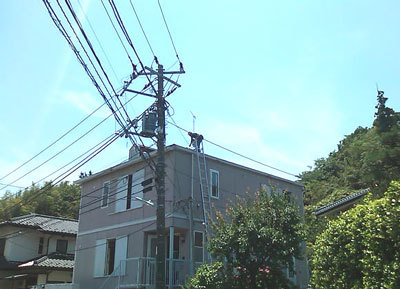 2010.6.17a.jpg