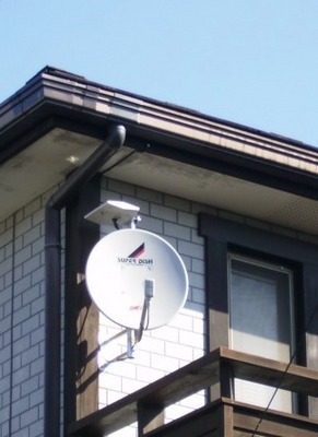 d2010年2月 007.jpg